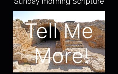 Tell Me More! tonight with Fr. Wilson