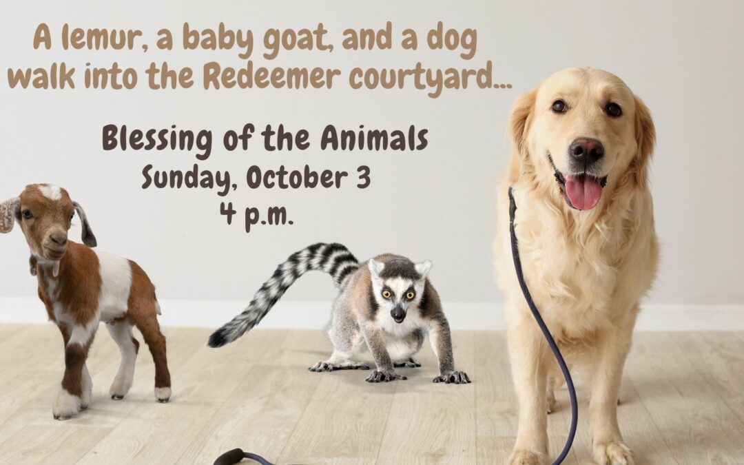 Blessing of the Animals on October 3