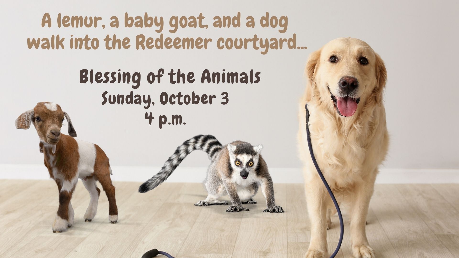 blessing-of-the-animals-on-october-3-church-of-the-redeemer-sarasota